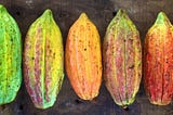 The Cornerstone of Cacao