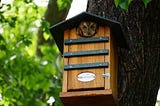 An owl peeking from a bird house