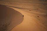 an image of a person walking alone on a dune
