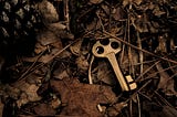 an old key amidst dead leaves. A Snipe Hunt by Rena Willis