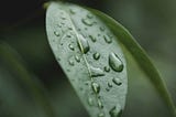 Raindrops, a Poem