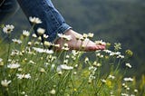 A bare foot in the process of lowering onto a field of white flowers, attached to a leg clad in denim