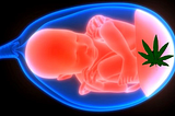 Medicinal Marijuana: Hurts Fertility!
