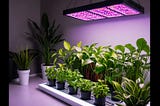 Led-Grow-Lights-For-Indoor-Plants-1