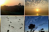 Tithal Beach