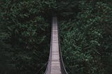 A slatted bridge suspended high over a green ravine.