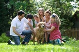 The Interconnected Roles within a Family: A Symbiotic Relationship