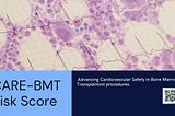 CARE-BMT risk score: Advancing Cardiovascular Safety in Bone Marrow Transplants