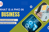 What is a PMO in Business?