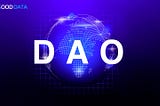 The collective intelligence in DAO