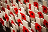 remembrance day photo with some poppies mounted on small wooden crosses
