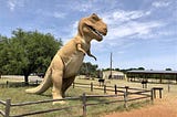 5 Must See Things At Dinosaur Valley State Park, Glen Rose, TX