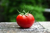 My Neighbor Gave Me The Lovliest Gift: a Bag of Organic Tomatoes