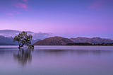 Building a Scalable Data Lake: Implementation Guide