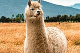 Meta’s LLAMA 2 Model