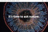 From Nature to Systems Thinking | Meetup Summary (Dec 9, 2020)