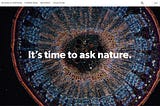 From Nature to Systems Thinking | Meetup Summary (Dec 9, 2020)