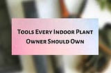 Best tools for indoor planting every plant owner should have -Plantilia