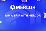 Welcome to Mercor Airlines