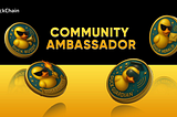 🦆 DuckChain Community Ambassador Program is Live!