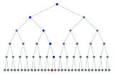Gráfico representando transmissão exponencial. No topo temos 1 ponto, representando uma pessoa. Abaixo dele temos mais 2 pontos, com 2 linhas conectando o ponto acima a cada um destes. Abaixo destes 2 pontos temos 4 pontos, com linhas de conexão similares. E assim continua com 8 pontos, 16 pontos e, finalmente, 32 pontos. Em cada nível um dos pontos é colorido com a cor azul (os demais são cinzas) formando um caminho até chegar em um único ponto vermelho na linha inferior.