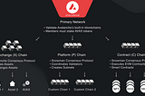 AN INTRODUCTION TO AVALANCHE SUBNETS