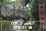 Top Five Quiet Places at Animal Kingdom in Walt Disney World