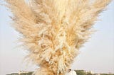 naunauya-10-stems-46-inch-dried-pampas-grass-decor-tall-large-pompas-grass-boho-neutral-home-decor-b-1
