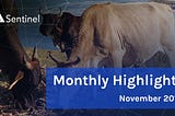 Monthly Highlights — November