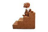 Why should buy dog steps and stairs?
