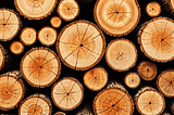 Decorative-Logs-1