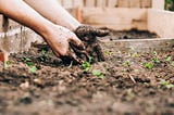 Composting 101