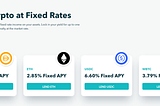 Notional: The Alpha of Fixed-Income DeFi Products