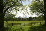 Open green field with a fence running between two large trees.