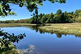 Carson was a passionate advocate for the strength and resilience of natural systems.