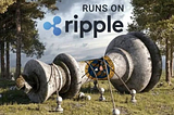 Price Surge! Ripple Scores Another Legal Victory