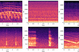Audio Classification in python.