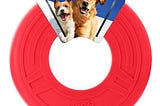 nerf-dog-10in-tpr-atomic-flyer-dog-toy-red-1