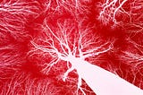 I Am Not Neurodivergent. I Am Neuroresisting: A Manifesto