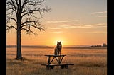 Lone-Wolf-Climbing-Stand-1