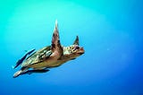 Deep dive into Pattern Matching for Java