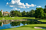 Ladies-Golf-Clubs-1