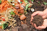 Home composting is great for the garden and the environment!