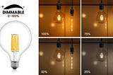 Buying Guide for LED Vintage Bulb