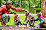 Monkey-Games-1