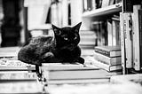 A black and white image of a black cat sitting on a pile of books in library