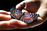 Open hand holding a beautifully colored butterfly