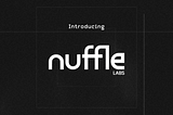 NEAR生态项目Nuffle Labs获得1300万美元融资