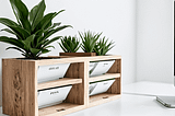 File-Organizer-1