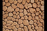 Cork-Wall-1